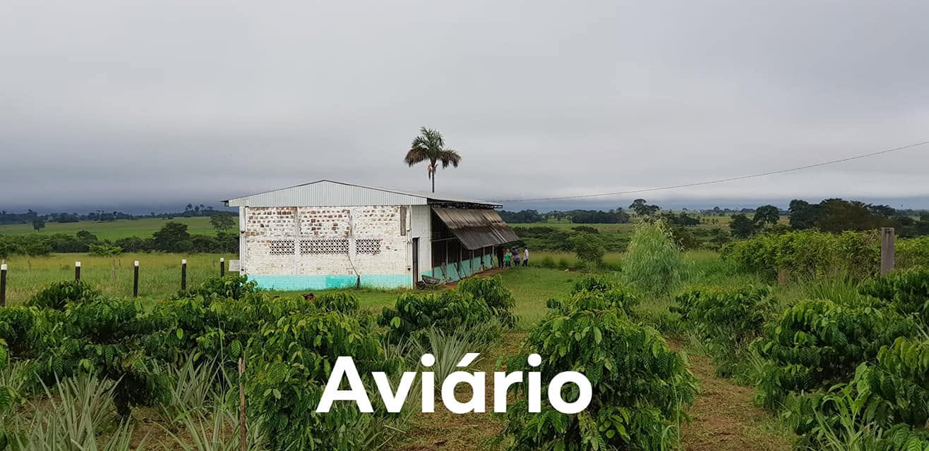 Aviário da escola, em meio às lavouras